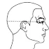 TCM Acupoint index for acupuncture2.70.5