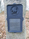 Linné I Växjö