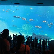 美麗島沖繩風味居酒屋