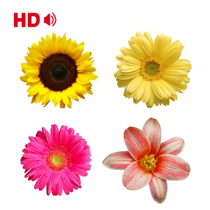 Coloring Flower Pages Varies with device