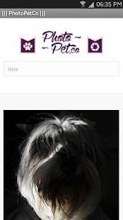 How to download Photo Pet Co 1.0 unlimited apk for pc