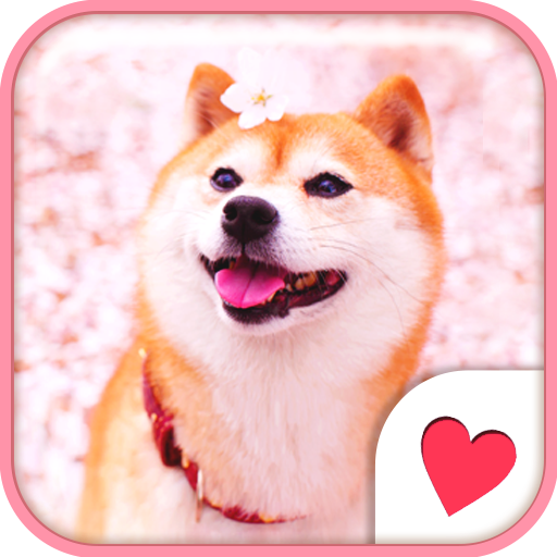 Cute wallpaper★SAKURA Dog 個人化 App LOGO-APP開箱王
