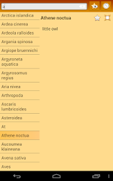 English Multiple Languages poster 16