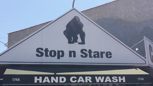 Stop N Stare Gorilla