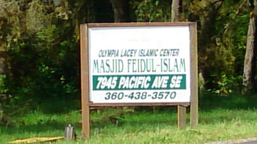 Masjid Feidul-Islam
