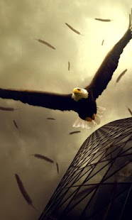 Eagle Live Wallpaper Screenshots 6