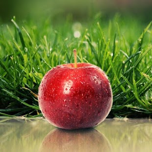 FRUITS Wallpapers v1 Screenshots 5