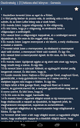 Hungarian Holy Bible poster 8