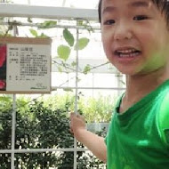 香草菲菲 芳香植物博物館