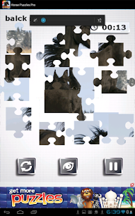 Horse Puzzles Pro