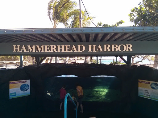 Hammerhead Harbor