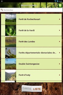 Bois Forêt Screenshots 8