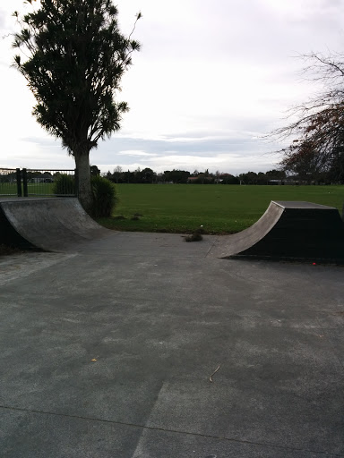 Riversdale Skate Park