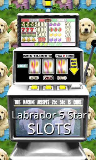 3D Labrador 5 Star Slots