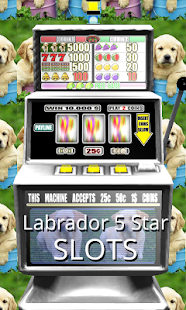 Free Download 3D Labrador 5 Star Slots APK for Android