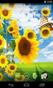 Sunflower Live Wallpaper screenshot 1