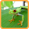 Los Animales para ni&ntilde;os FREE logo