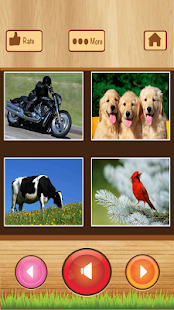 download Belajar bahasa inggris free