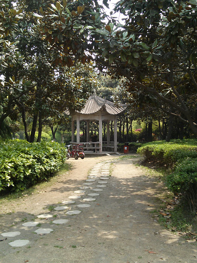 Pavilion in the Wood