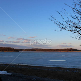 by Eileen MacWilliams Kirsch - Uncategorized All Uncategorized