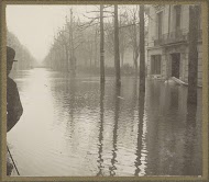 Ondergelopen straat met bomen, gezien vanuit een bootje