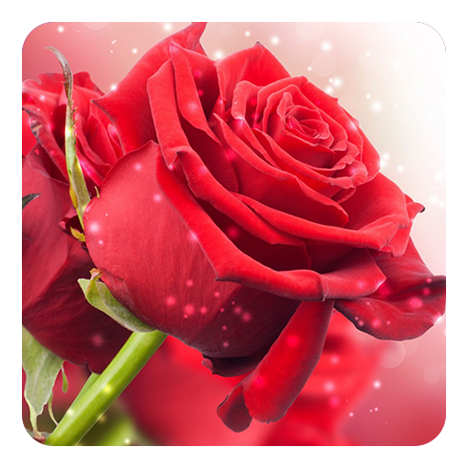 Red Rose Live Wallpaper 個人化 App LOGO-APP開箱王