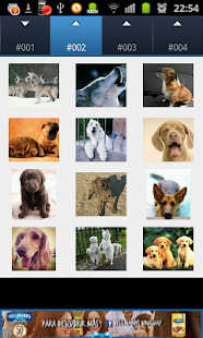How to install Dog and Cat Sounds 1.0 mod apk for pc