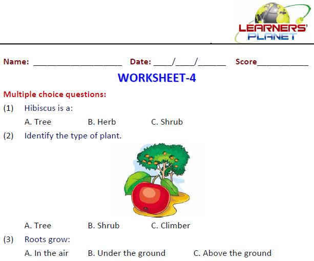 key table answer periodic packet Frog Activity Cycle Worksheets Life Farm Animals Printable also also