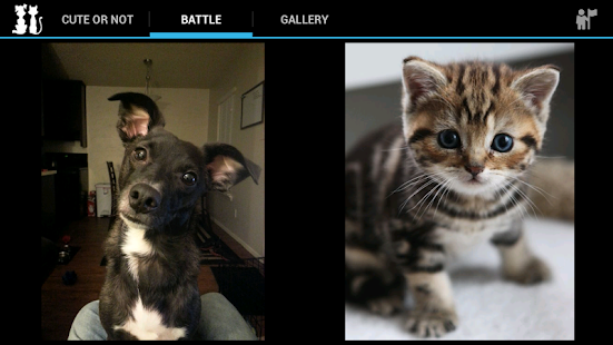 How to download Kitten or Puppy - Cute Pets 1.10 mod apk for android