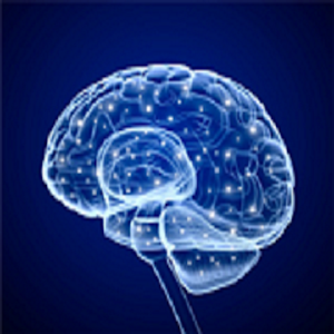 Test Memory No Ad.apk 1.0