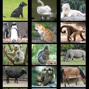 Baby Zoo Free.apk 2.3