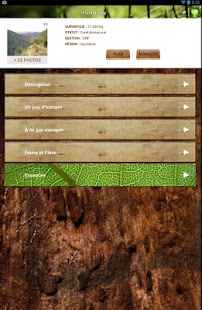 Bois Forêt Screenshots 2