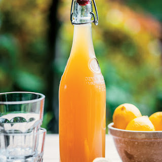 10 Best Frozen Lemonade Concentrate Drink Recipes