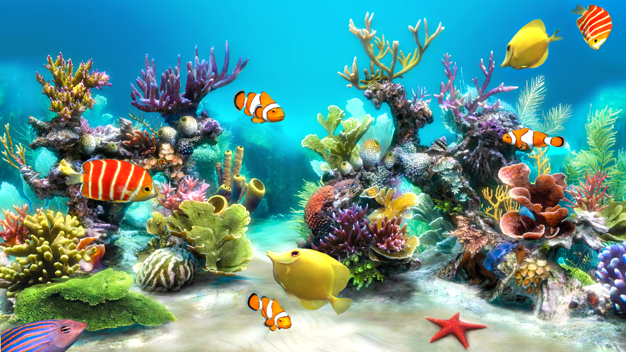Sim Aquarium Android Apps on Google Play