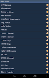 Hindi Holy Bible poster 7