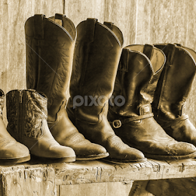 Family by Tiffany Lett - Transportation Other