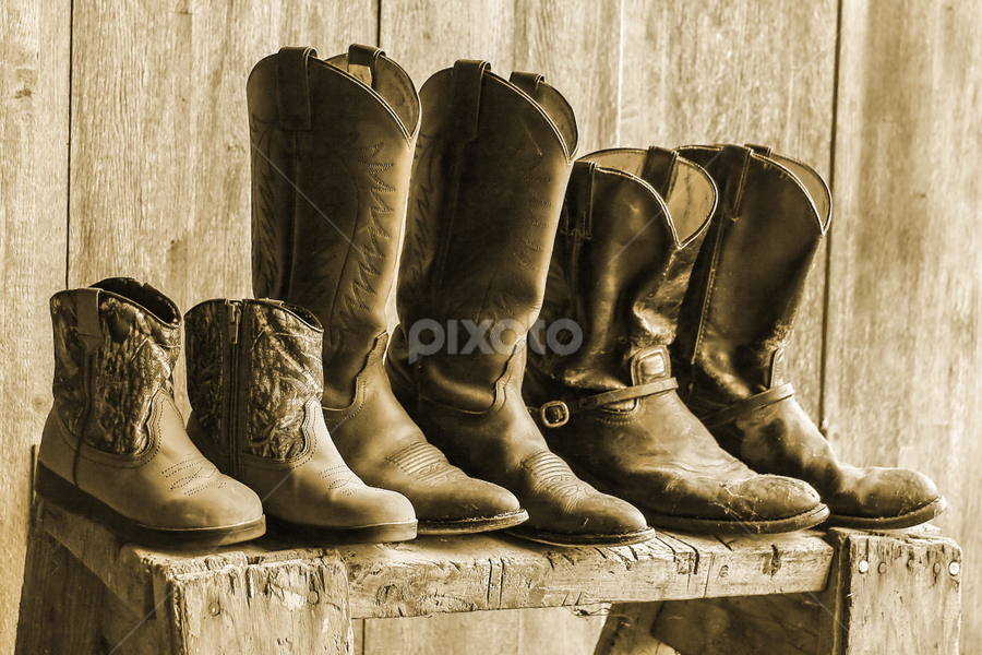 Family by Tiffany Lett - Transportation Other