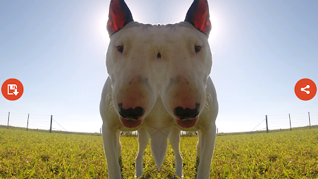 Mirror Camera by Atlantida Apps poster 2