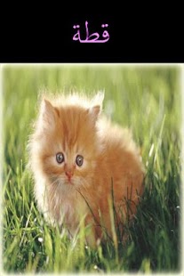Free Download Arabic-Animal Baby Flash Cards APK for Android