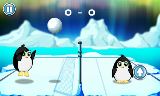 【免費體育競技App】Penguins Volleyball Club-APP點子