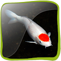 Koi Fish 3D (PRO)