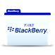Fake Blackberry Screen