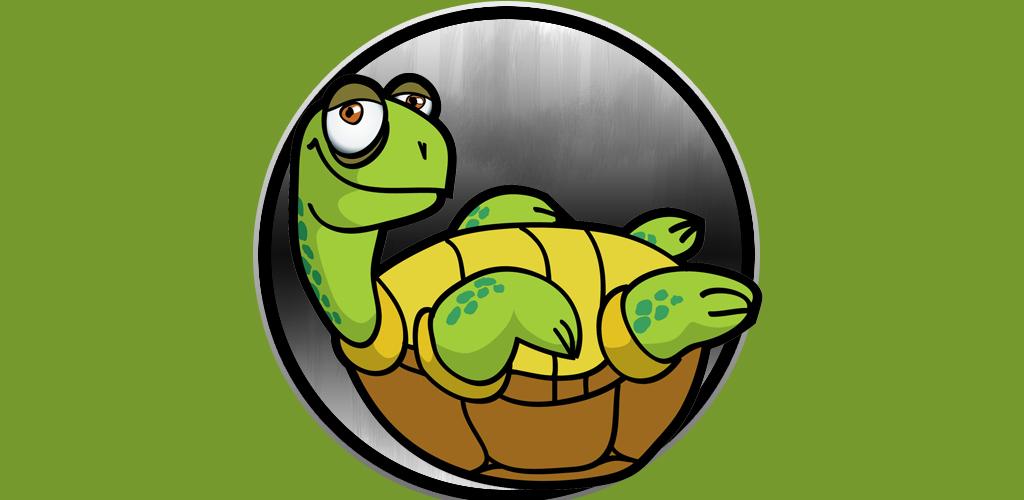 Turtle app. Turtle app