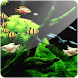 Aquarium 3D (Pro) icon