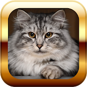 Cats and Kittens Puzzle