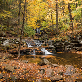 Waters Meet by Michael Sharp - Landscapes Waterscapes