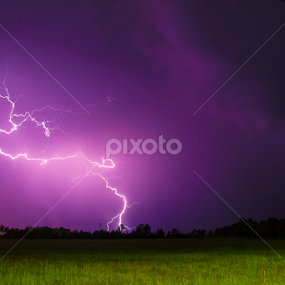 Purple Power by Nathan Scott - Landscapes Weather