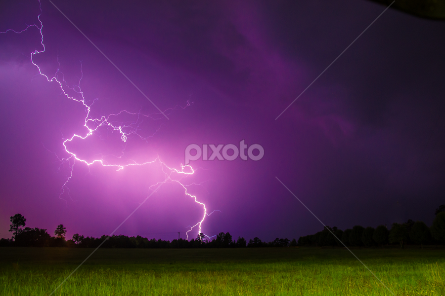 Purple Power by Nathan Scott - Landscapes Weather