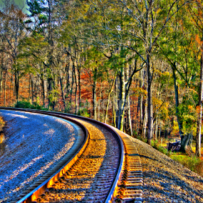 Audobon Acres Train Tracks by Jermaine Pollard - Landscapes Travel