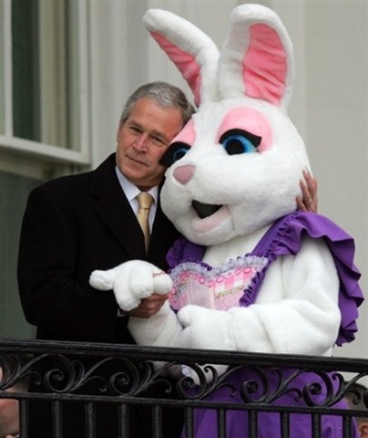 [busheaster[5].jpg]